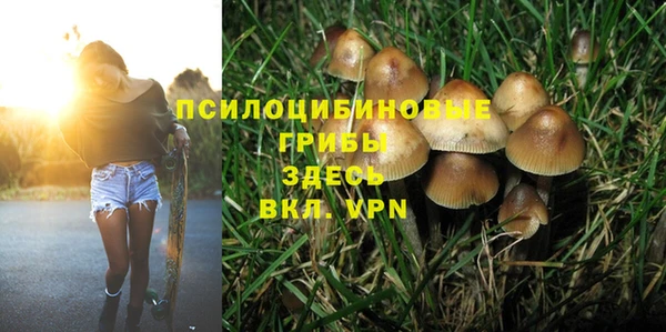 индика Усмань